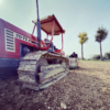 Instagram image